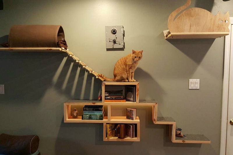 Cat Adventure and Escape Wall