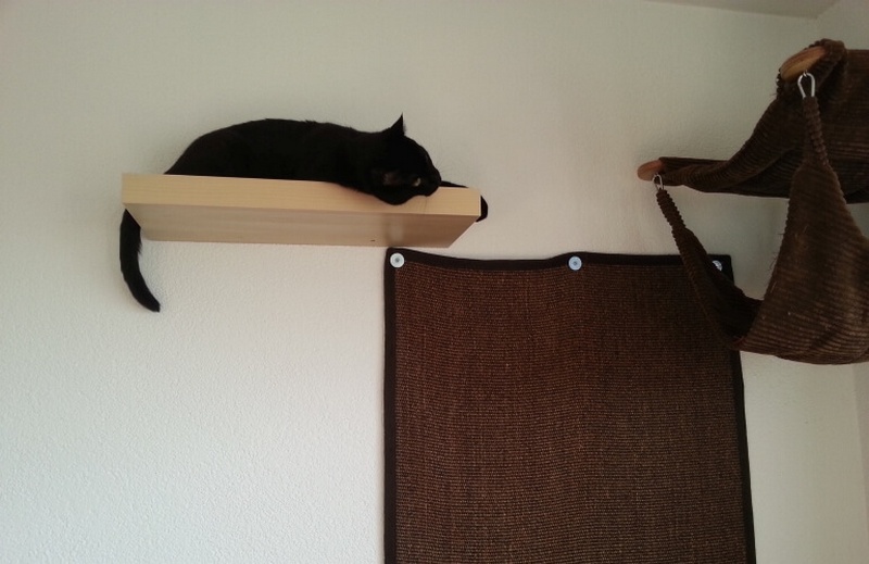 Cat Climbing Wall With Ikea Shelves