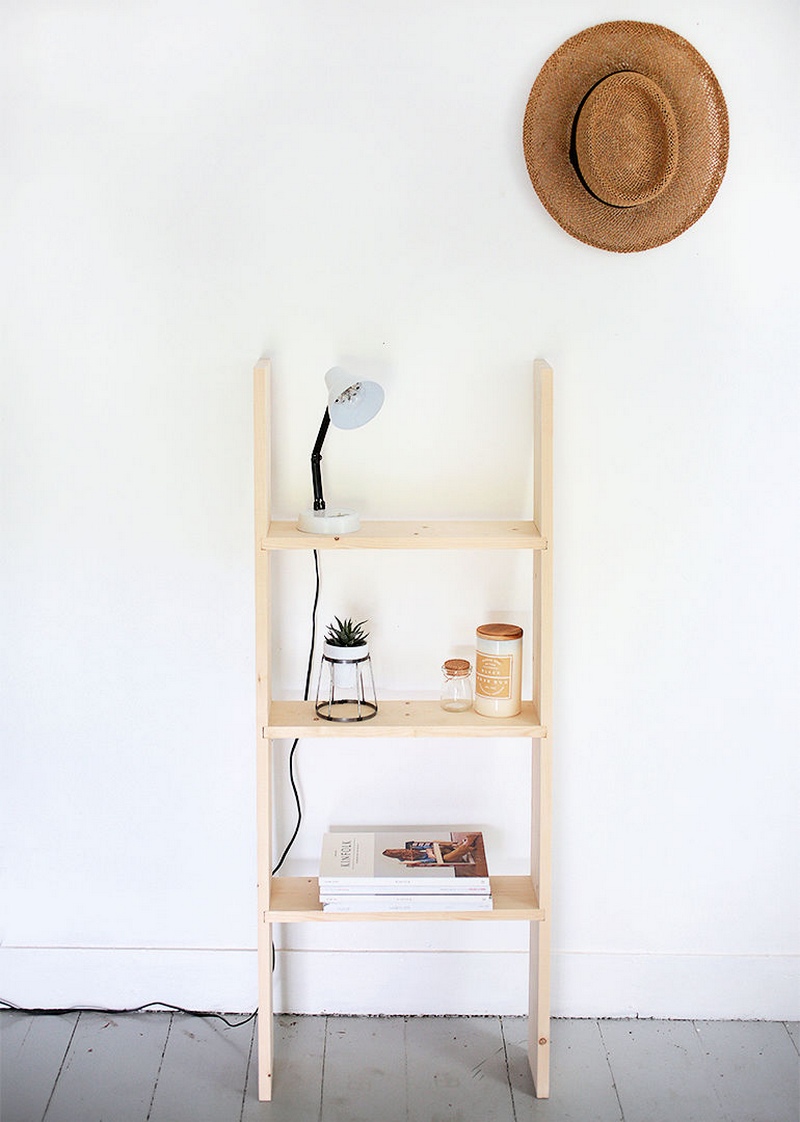 Simple DIY Ladder Shelf
