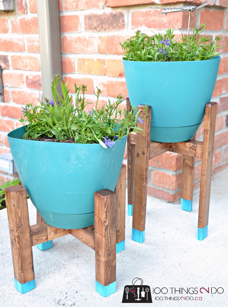 Best DIY Plant Stands