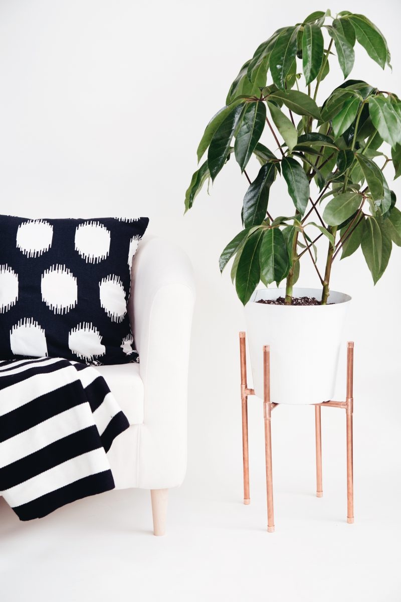 DIY Minimal Copper Pipe Plant Stand