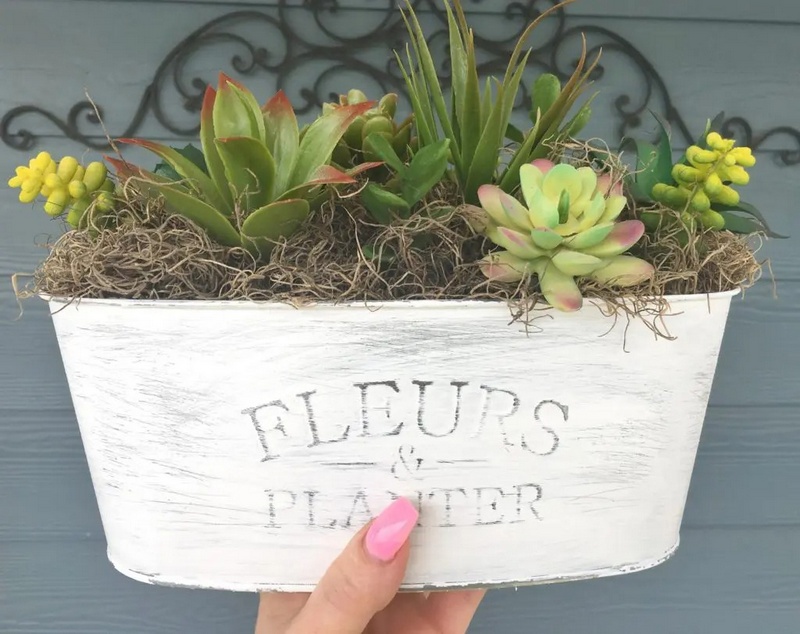 Perfect DIY Succulents