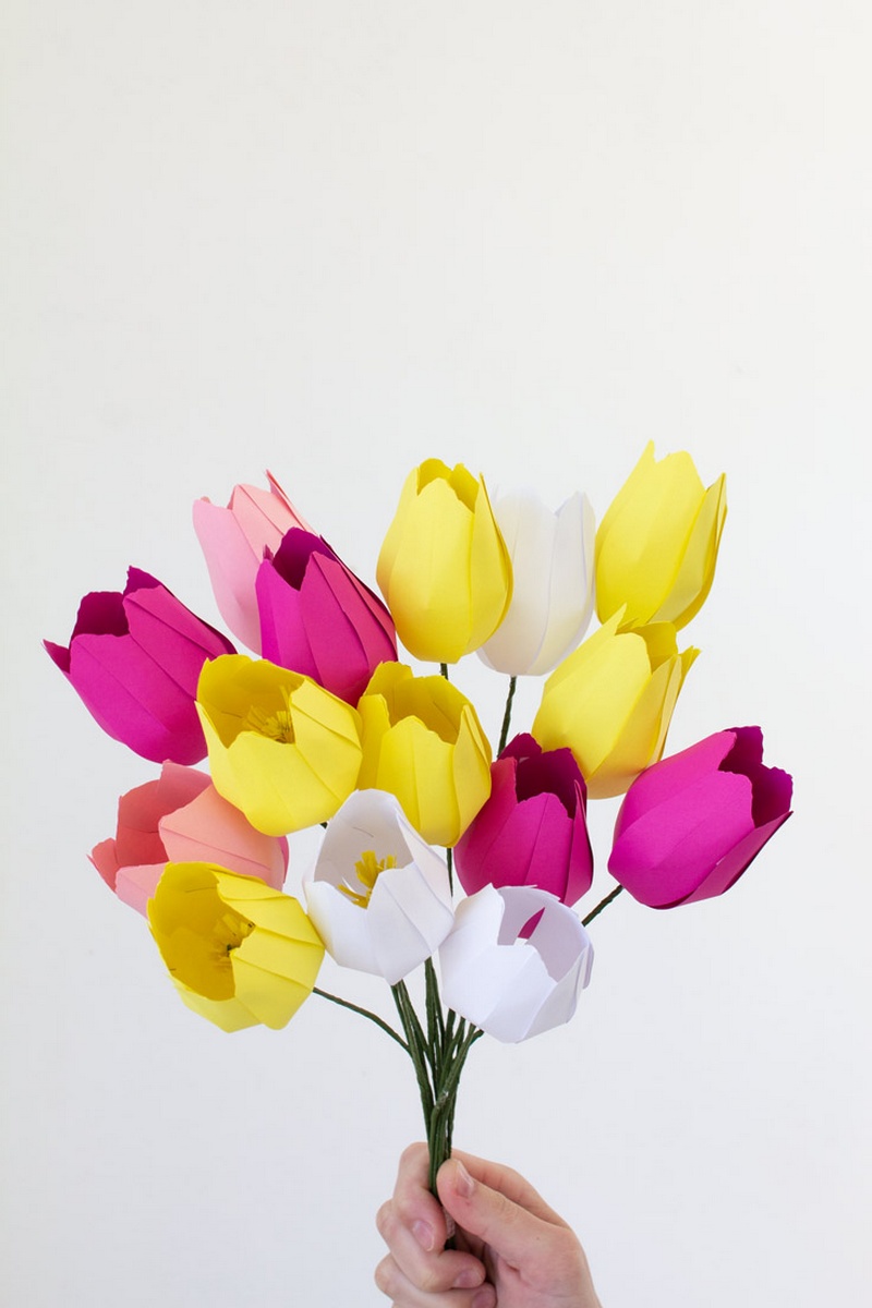 Tulip Paer Flowers