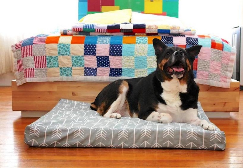 Custom Dog Bed