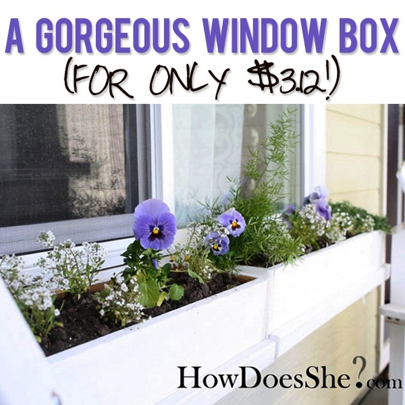 DIY Window Box