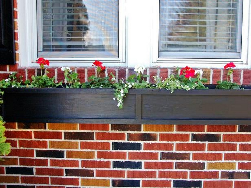 How To Build A Window Box In Garden