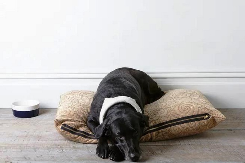 How To Make A Dog Bed Even If You Barely Know How To Sew