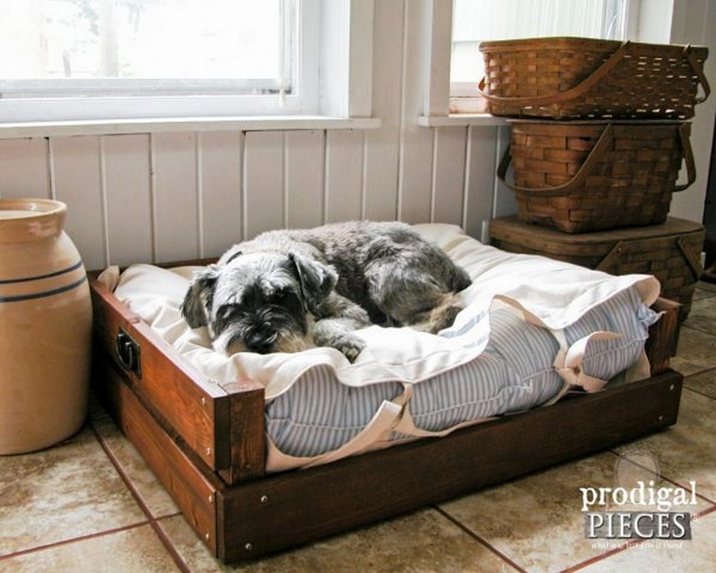 Pet Bed DIY Building Plans Tutorial