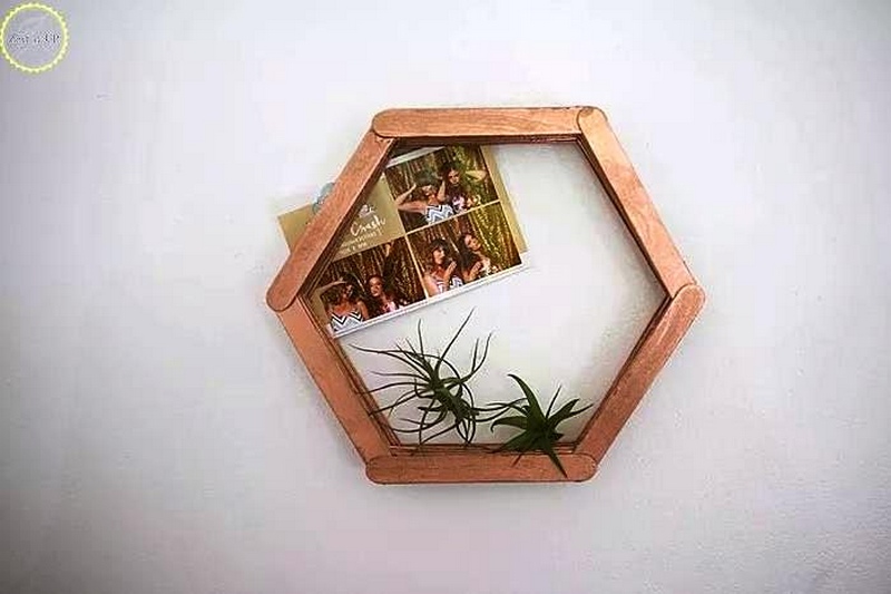 20 DIY Hexagon Shelves Using Popsicle Sticks Susie Harris