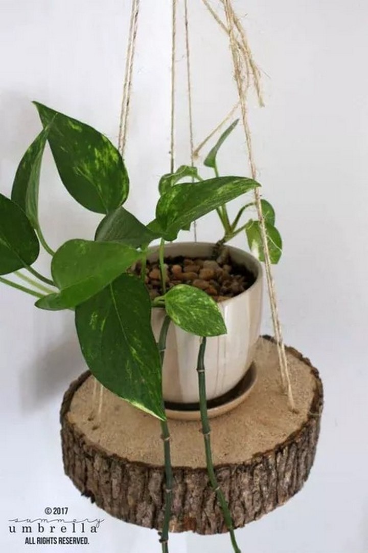 Hanging Planter Using a Wood Slice