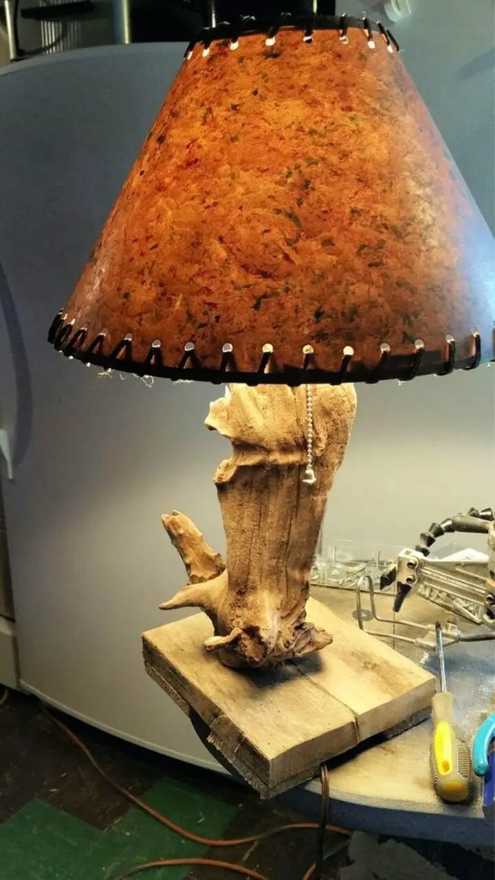 Driftwood Study Lamp