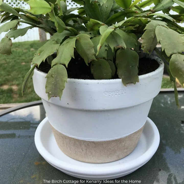 Flower Pot Makeover With Two Tone Paint