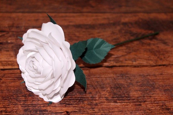 Beautiful Paper Rose
