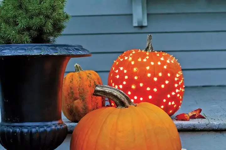 Beautiful Pumpkin Luminaries
