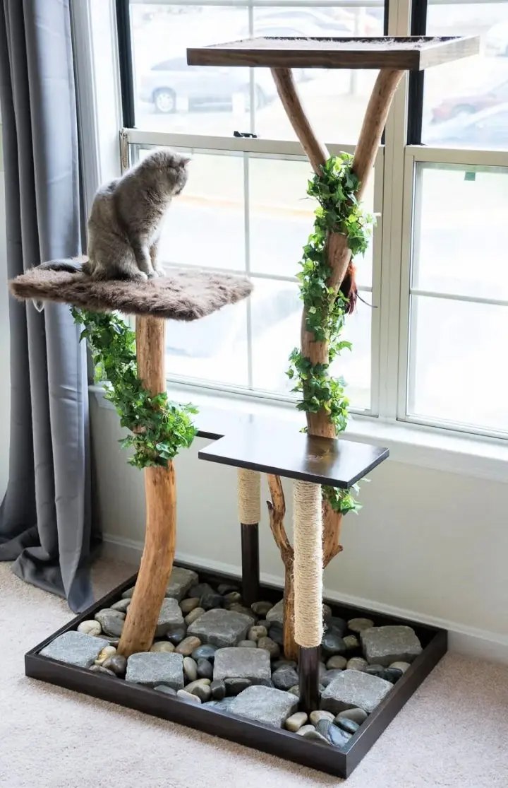 DIY Cat Tree From a Real Tree