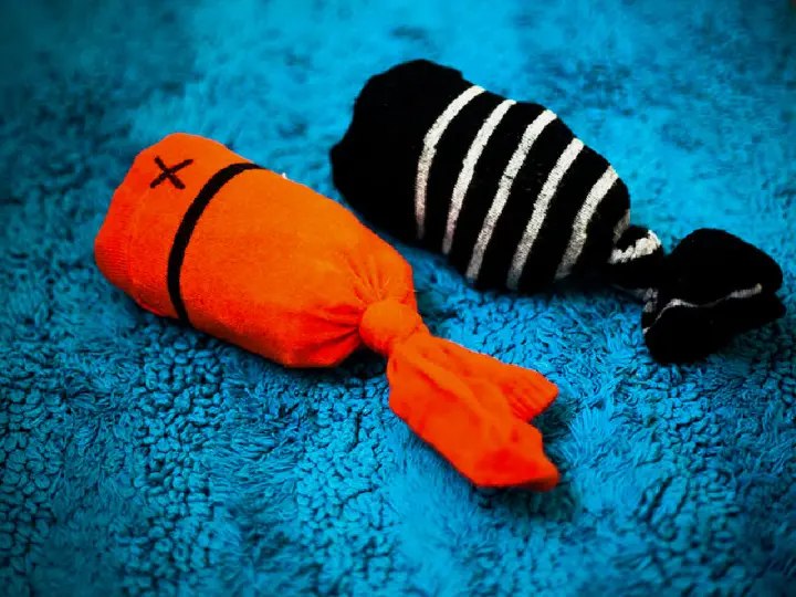 DIY Sock Fish Cat Toy