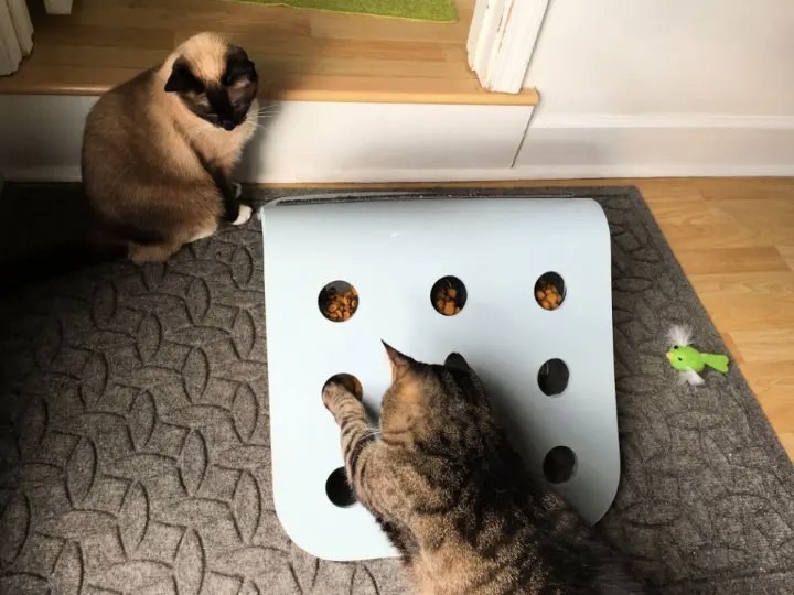 Food Puzzle For Cats IKEA Hack