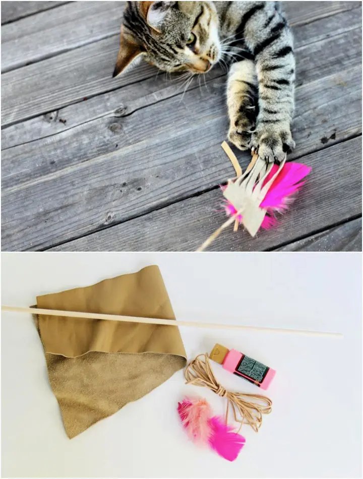 Leather and Feather Cat Toy