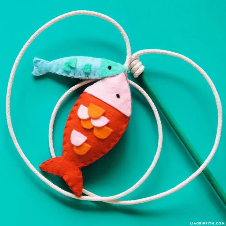 Unique Fishing Pole Cat Toy