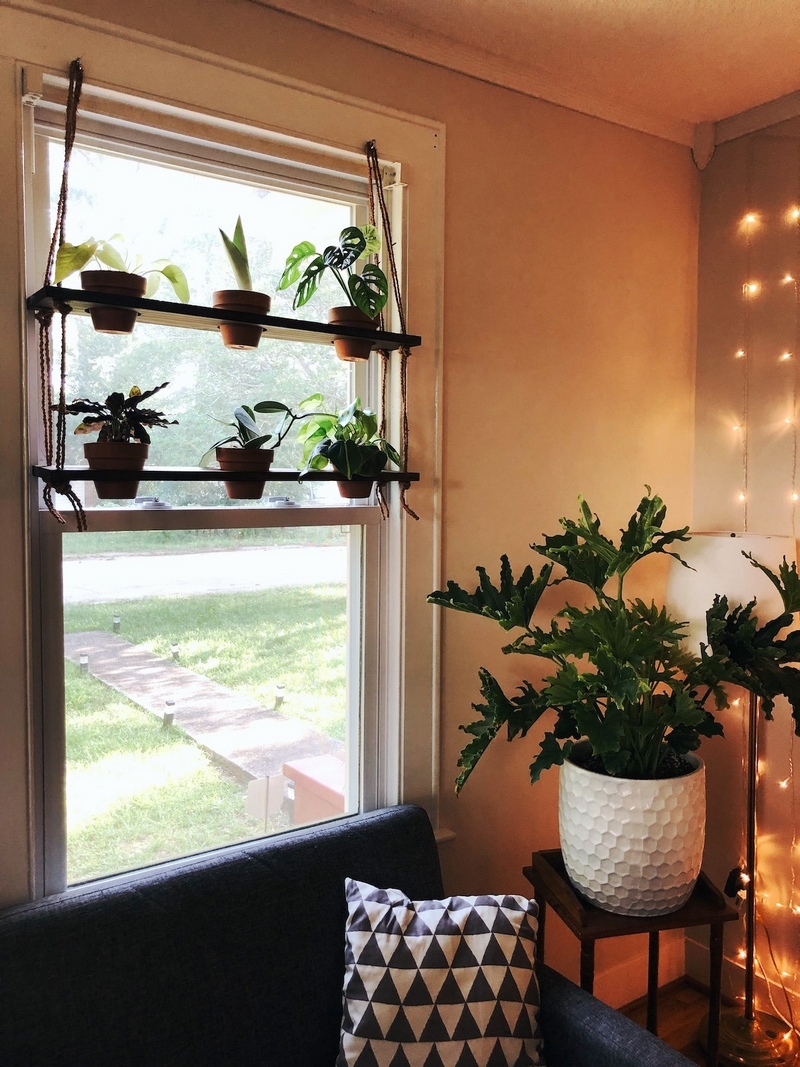 DIY Hanging Plant Shelf