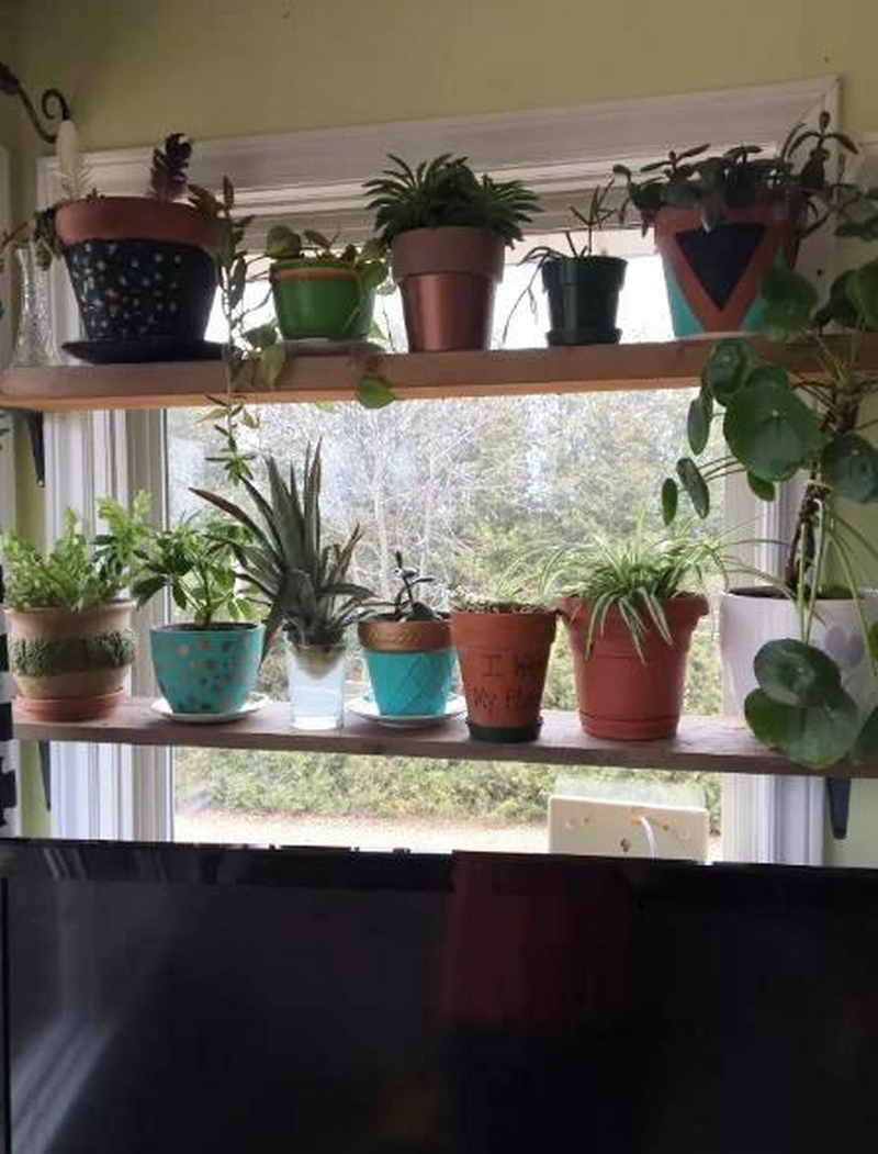 Easy DIY Window Plant Shelf