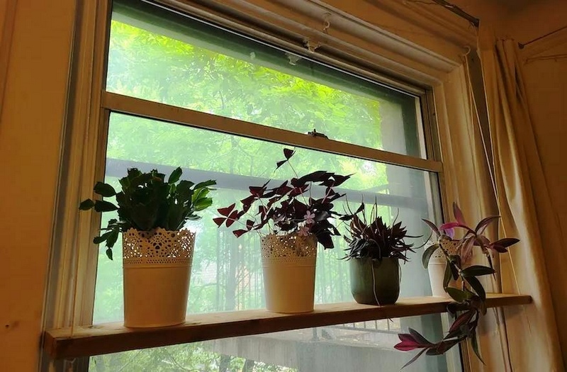 How To Make A DIY Hanging Plant Shelf
