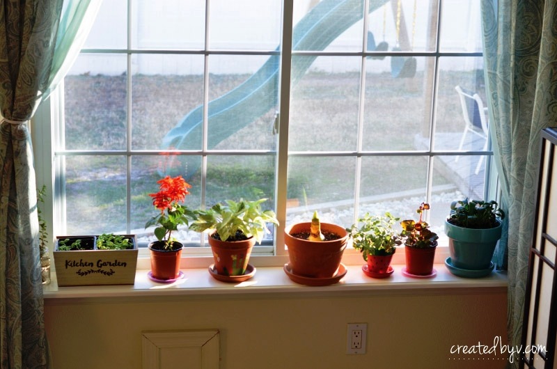 Removable Window Shelf For Plants