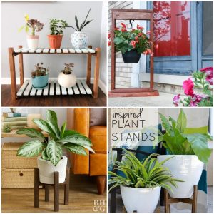25 Best Plant Stand Concepts For Your Greenery