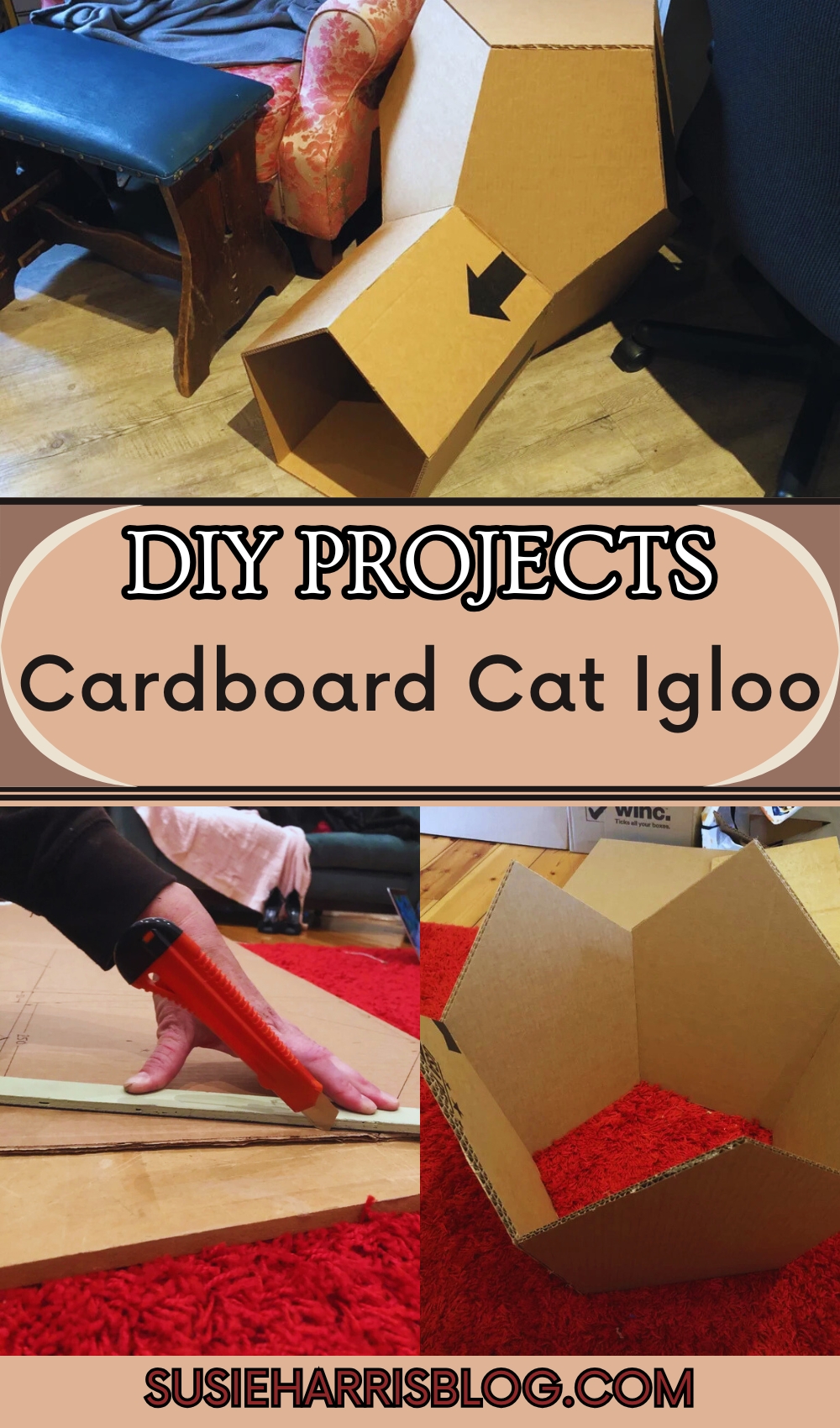 Cardboard Cat Igloo