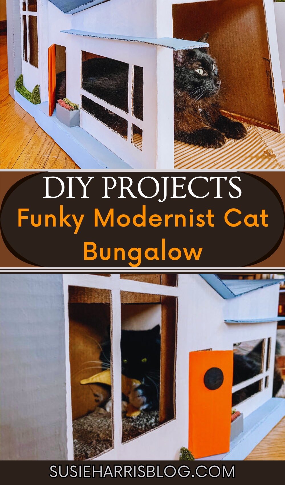 Funky Modernist Cat Bungalow