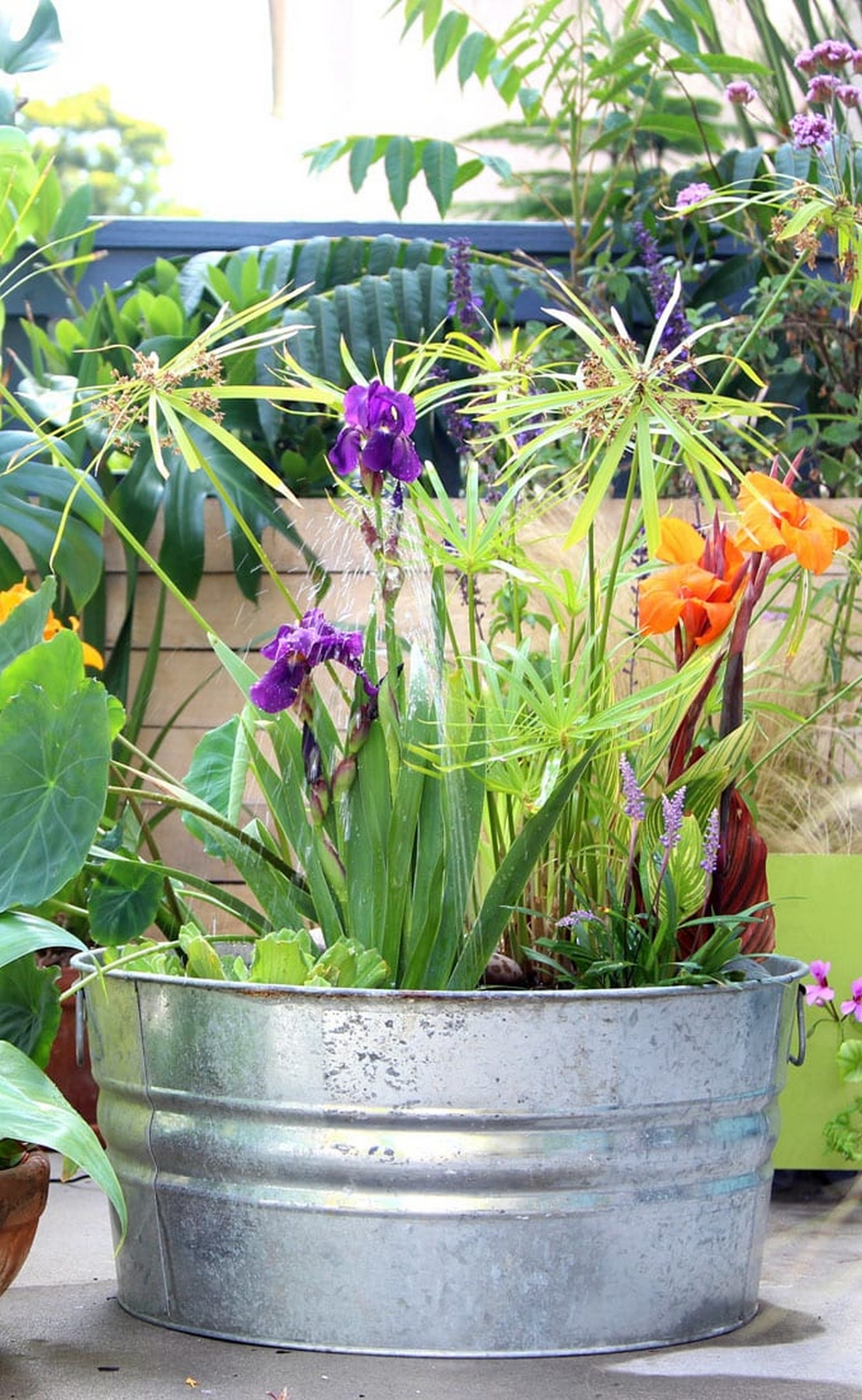 Galvanized Bucket Solar Fountain