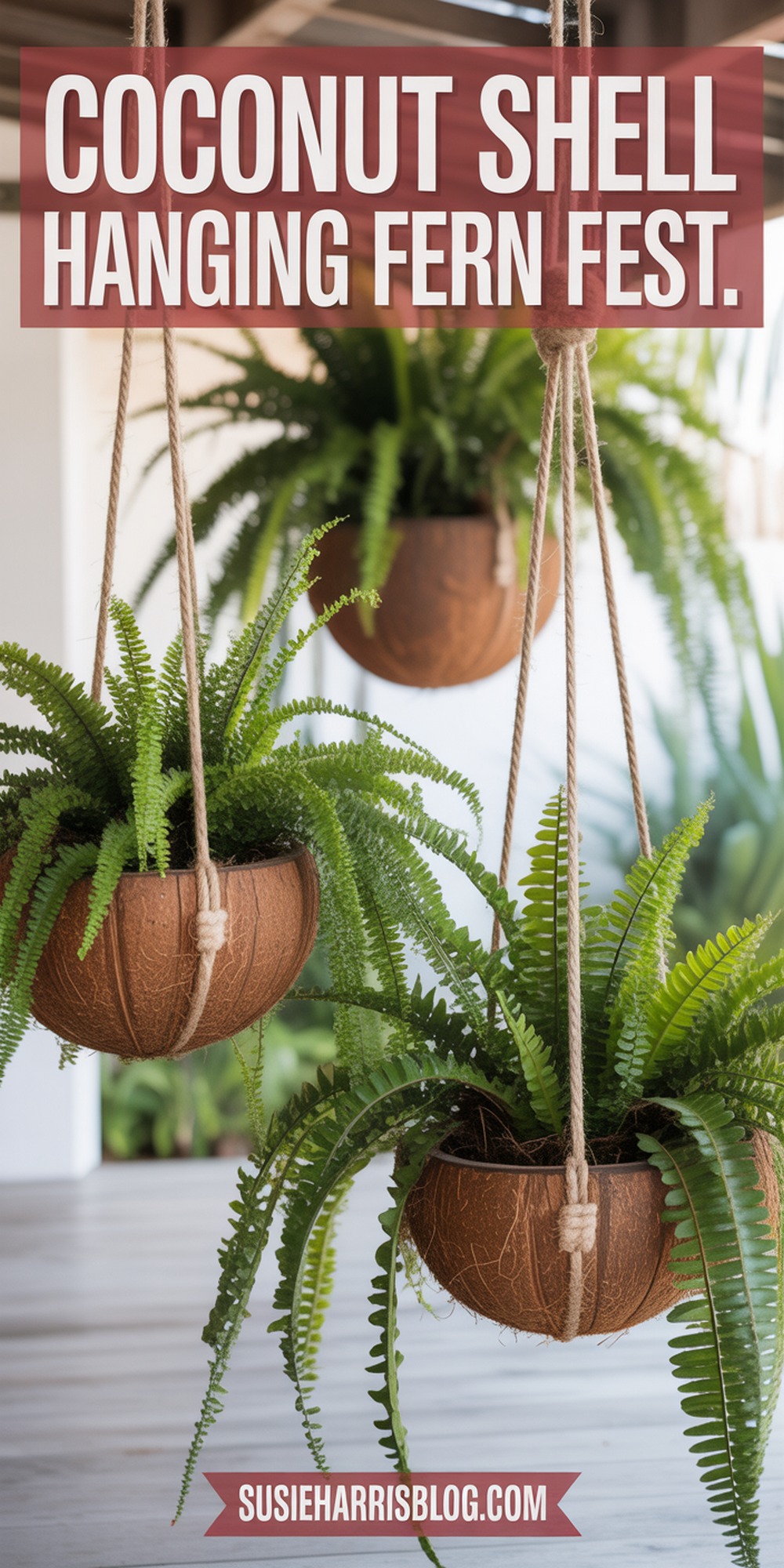 Coconut Shell Hanging Fern Fest
