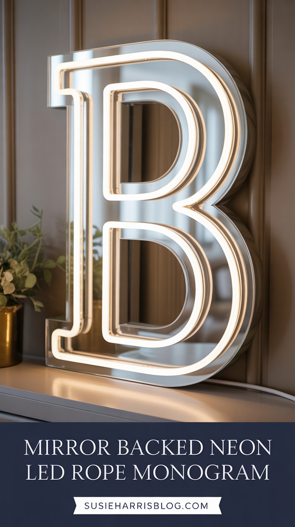 Mirror Backed Neon LED Rope Monogram