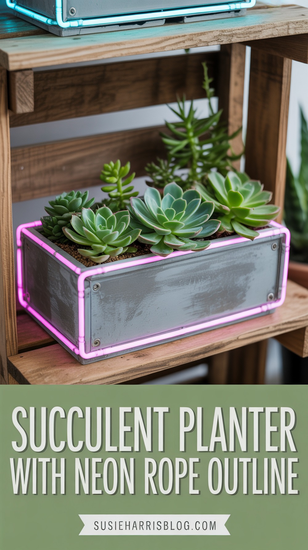 Succulent Planter with Neon Rope Outline