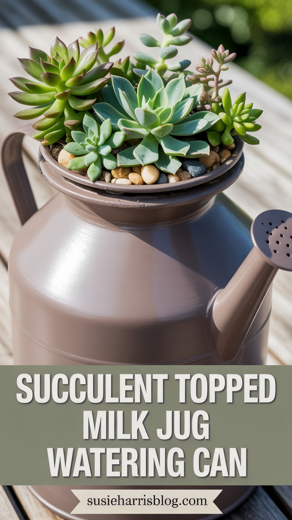 Succulent Topped Milk Jug Watering Can