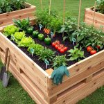 Raised Vegetable Planter Box